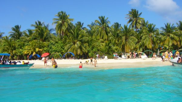 Tour Vip Acuario + Jhony cay + Manglares - Imagen 7