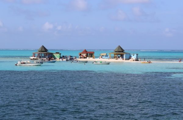 Tour Vip Acuario + Jhony cay + Manglares - Imagen 4